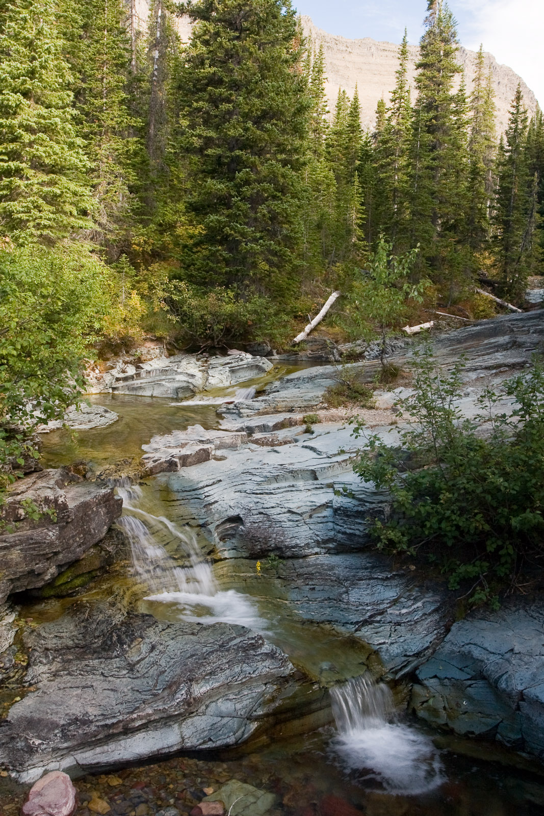 森林与层状岩石间的 Ptarmigan Falls